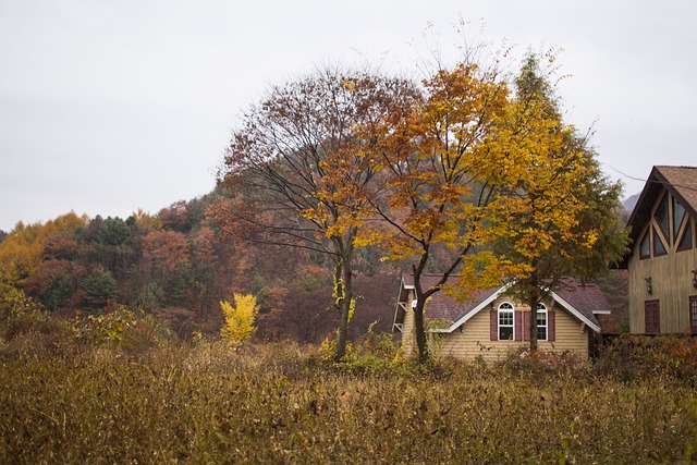 Pension Fund Documentation