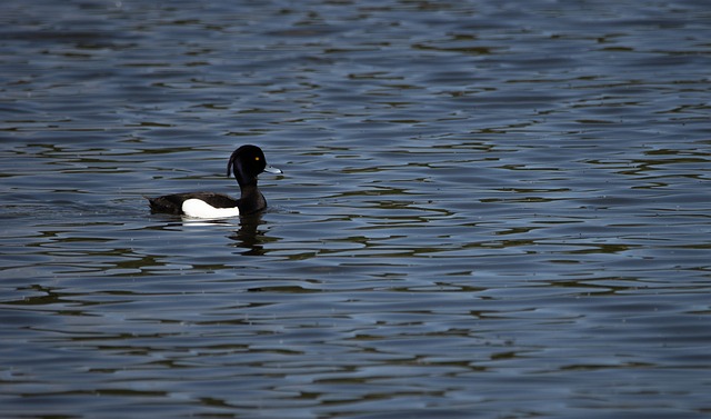 Pension Fund Documentation