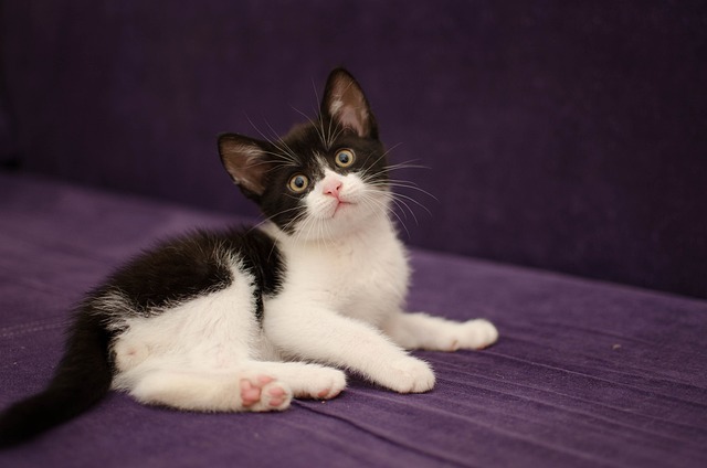 Pension Fund Documentation