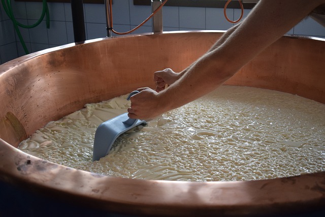 Pharmaceutical Manufacturing Guidelines