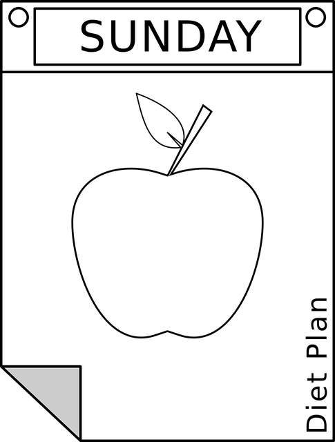 Physician’s Treatment Plans