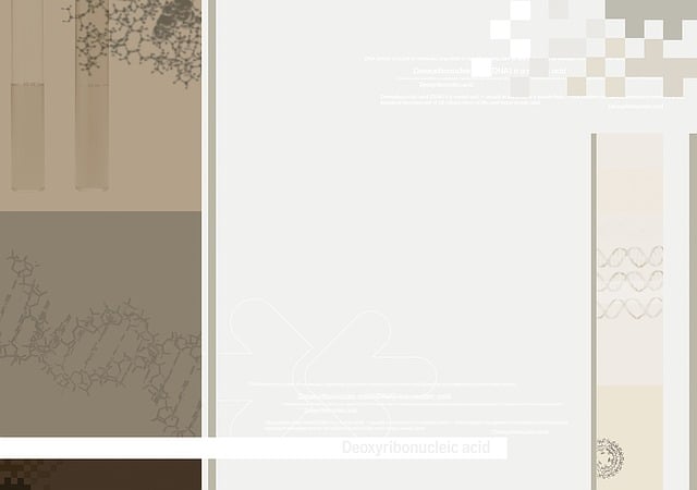 Product Catalogs and Brochures