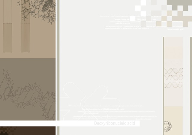 Product Catalogs and Brochures