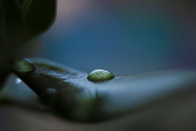 Product Information Leaflets