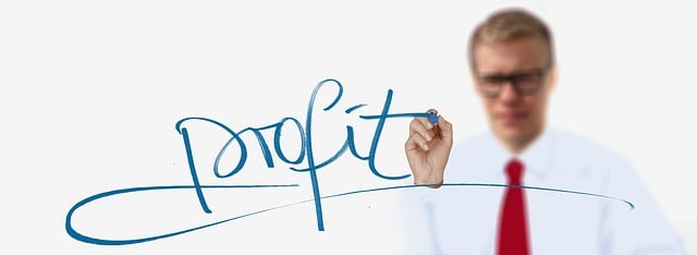 Profit and Loss Statements