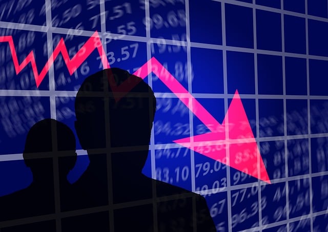 Profit and Loss Statements