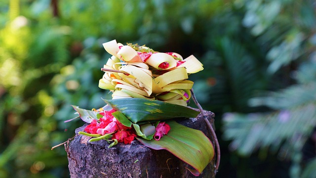 Prospectuses and Offering Memorandums