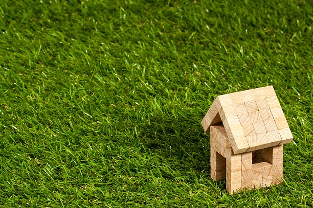 Real Estate Appraisals and Financial Documents
