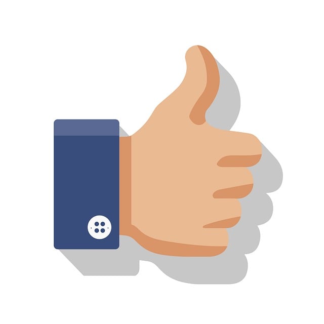 Regulatory Documents for Drug Approval