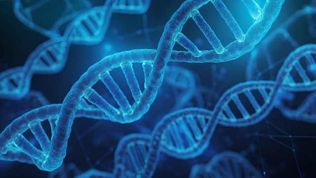 Research and Development Documents