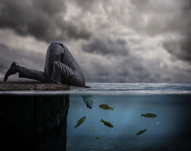 Risk Assessment Reports