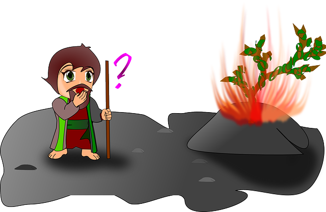 Risk Assessment Reports