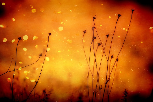 Scientific Conference Abstracts