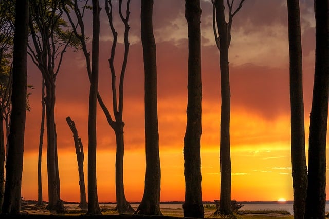 Scientific Conference Abstracts