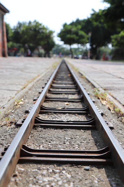 Scientific Methodology Manuals