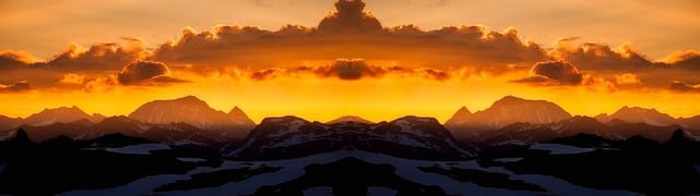 Scientific Review Articles