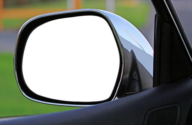 Scientific Review Articles