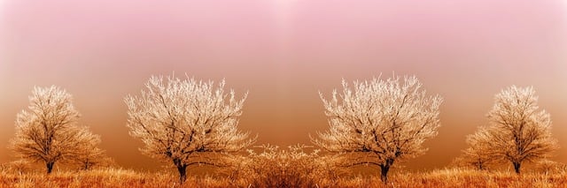 Navigating Global Science: The Necessity of Certified Translations for UK Review Articles