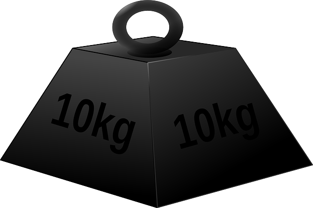 Securities Filings (such as 10-K, 10-Q)