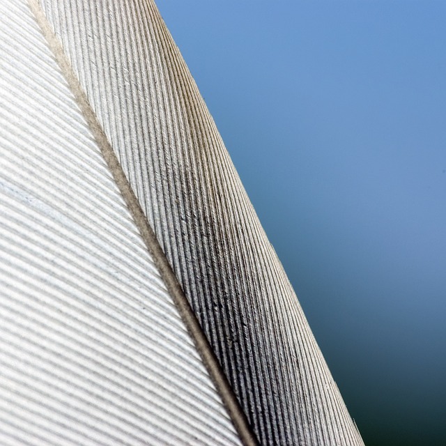 Securities Filings (such as 10-K, 10-Q)