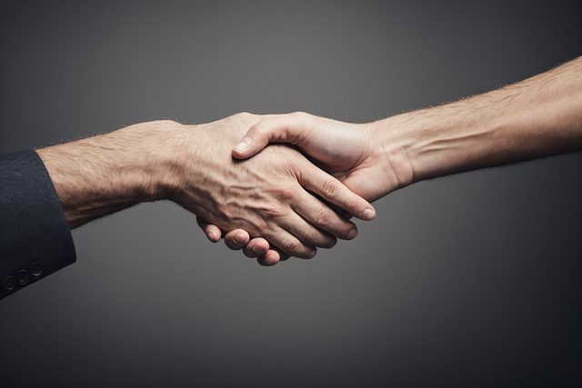 Shareholder Agreements