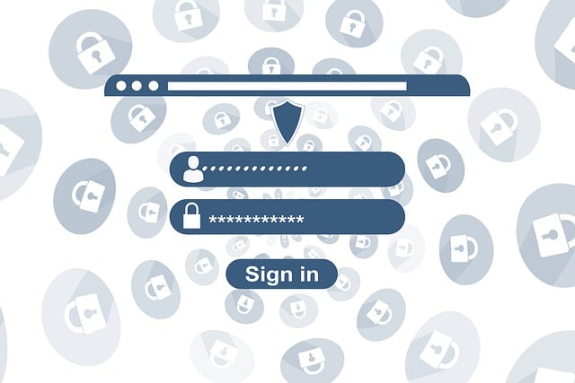 Software Documentation and User Interfaces (UI)