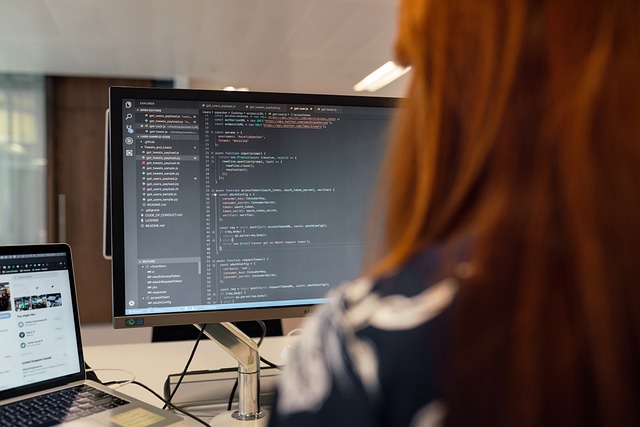 Software Documentation and User Interfaces (UI)