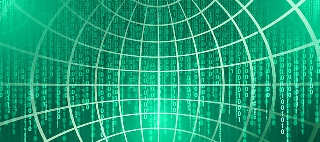 Software Documentation and User Interfaces (UI)