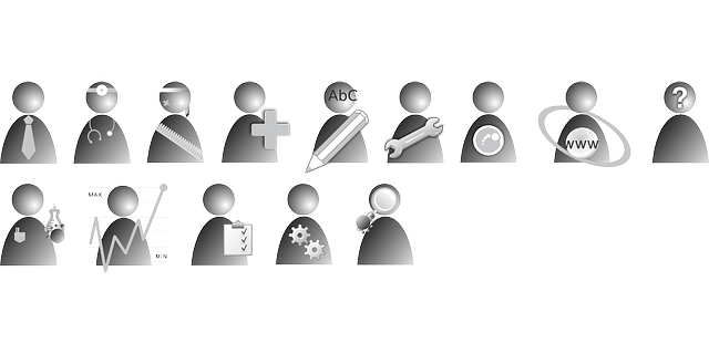 Software Documentation and User Interfaces (UI)