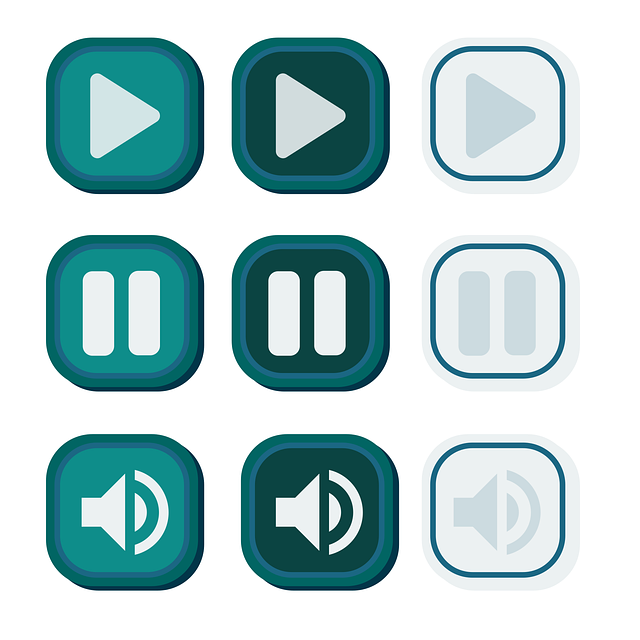 Software Documentation and User Interfaces (UI)