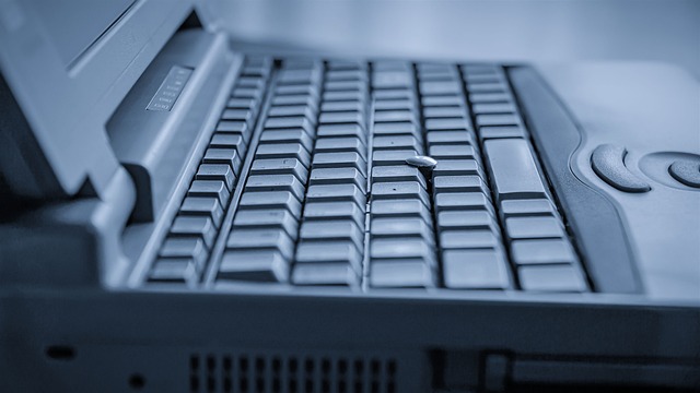 Software Documentation and User Interfaces (UI)