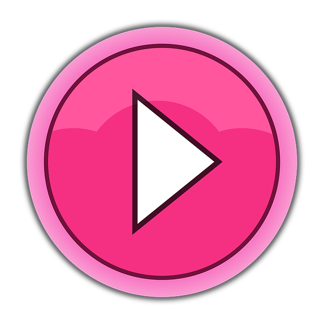 Software Documentation and User Interfaces (UI)