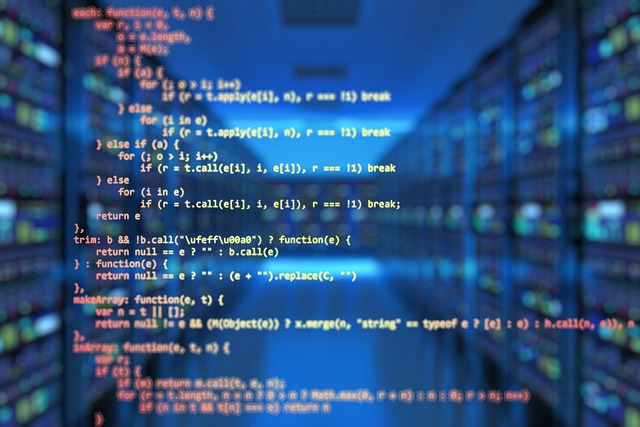Software Documentation and User Interfaces (UI)