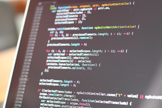 Software Documentation and User Interfaces (UI)
