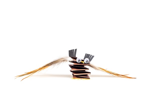 Surgical Procedure Instructions