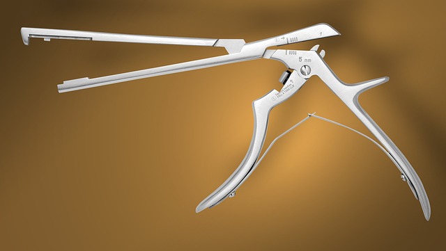 Technical Guidelines and Standards