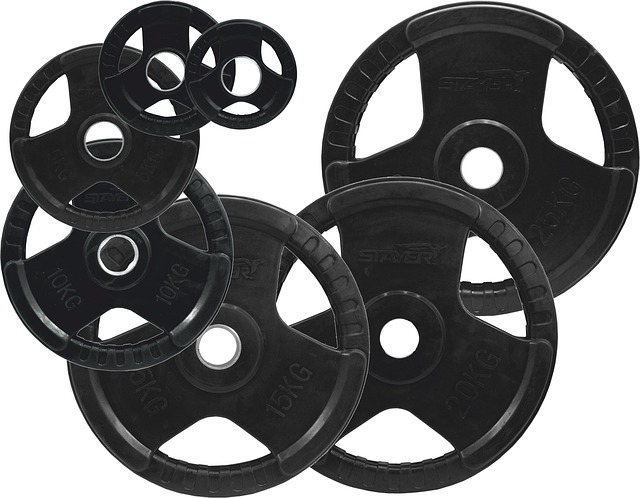 Technical Manuals for Scientific Equipment