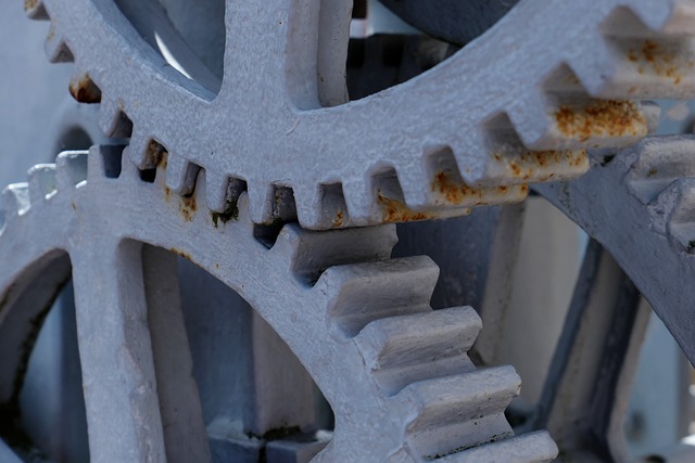 Technical Manuals for Scientific Equipment