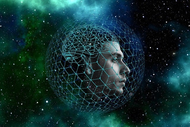 Technical Specifications and Data Sheets