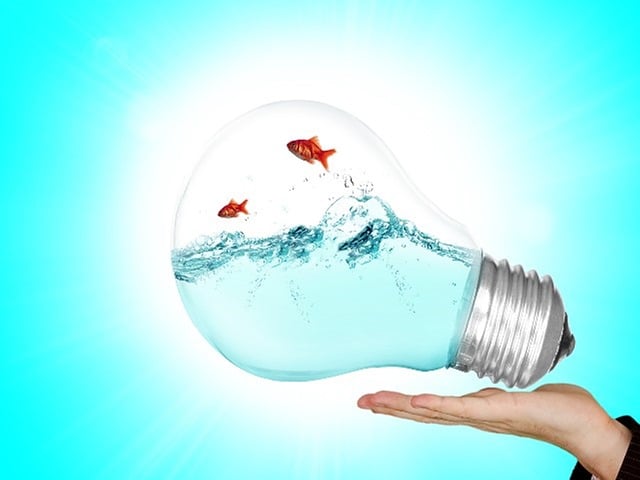 Tender Documents and RFPs (Requests for Proposals)