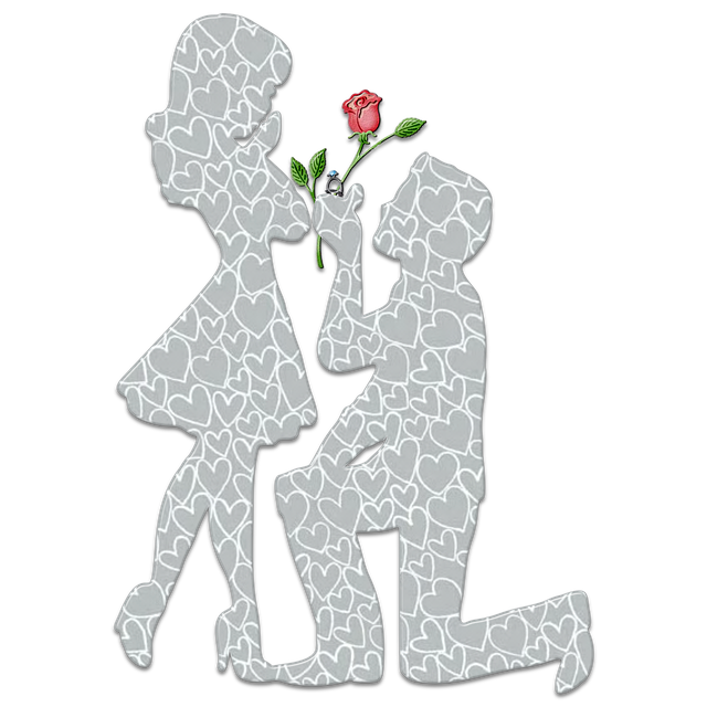 Tender Documents and RFPs (Requests for Proposals)