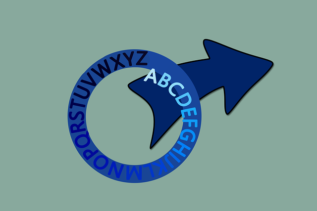 Training Manuals and e-Learning Modules