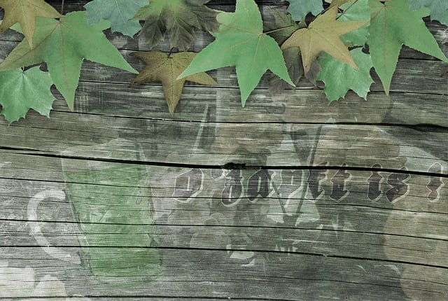 Automotive Technical Bulletins and Repair Manuals