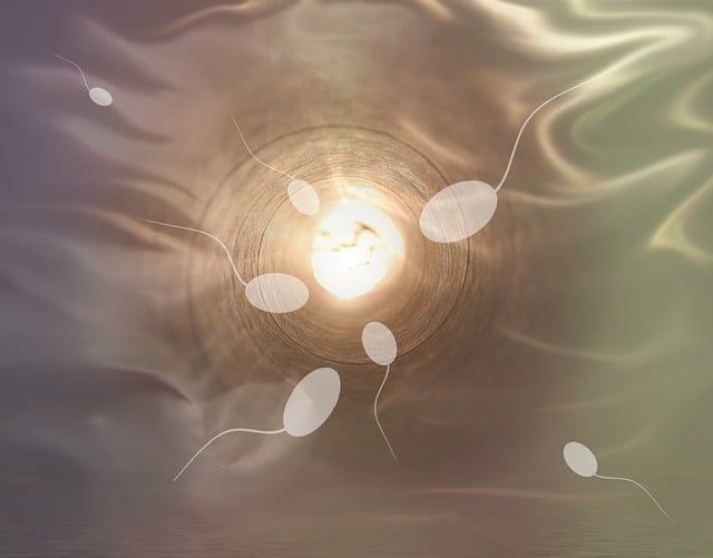 birth
