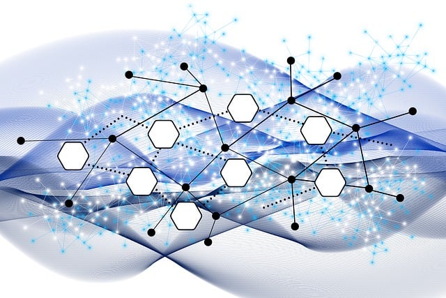 Cash Management and Treasury Reports