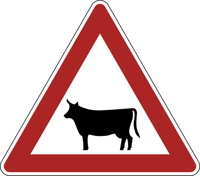 Compliance and Regulatory