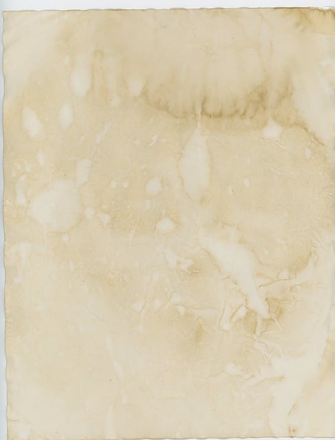 Compliance and Regulatory Documents