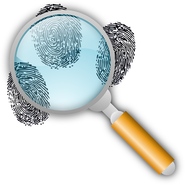 criminal record
