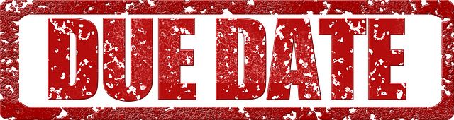 Due Diligence Reports