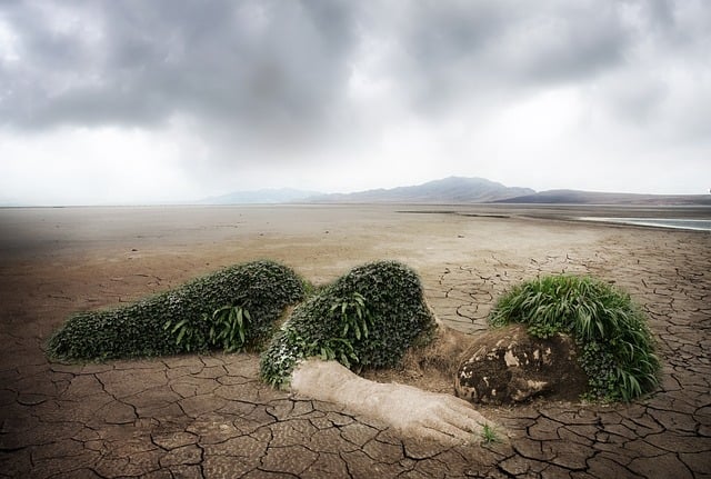 Environmental and Social Responsibility Reports